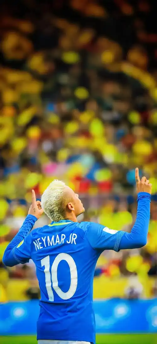 赛季格局 赛季格局